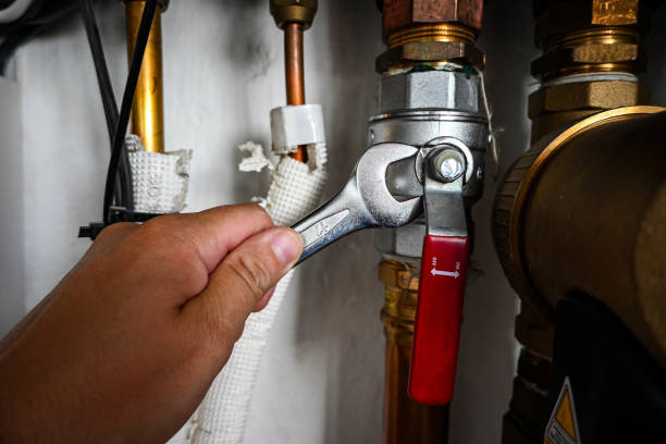 Best Clogged Drain Plumber  in Sutter, CA